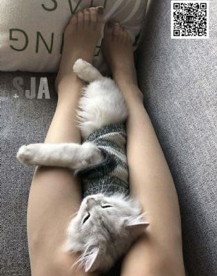 国产ar高清视频视频_蓝光原盘在线观看